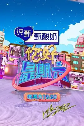 第九个证人海报